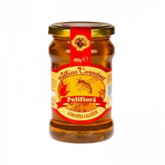 MIERE POLIFLORA 400GR / Apicola